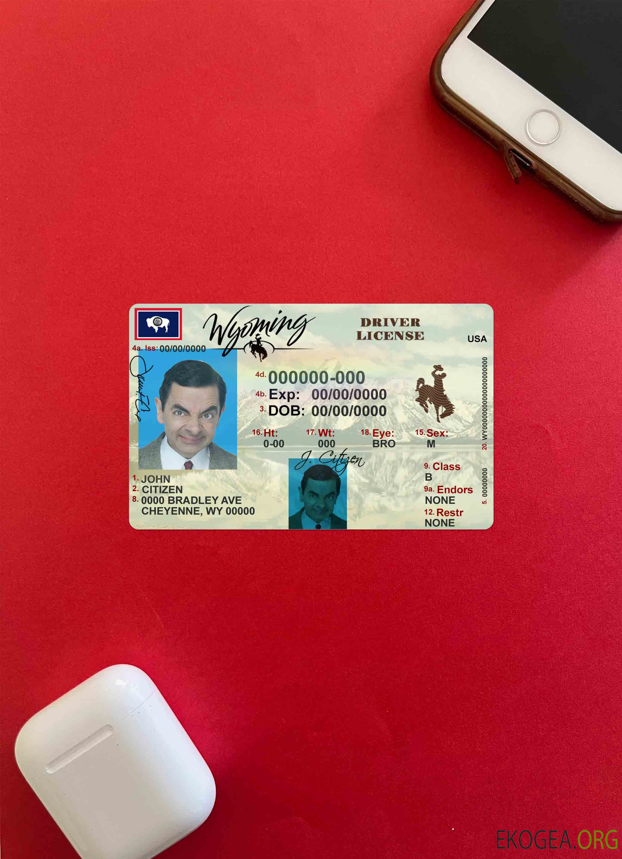 USA Wyoming State permis de conduire photolook AVANT